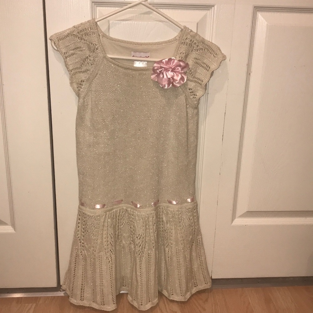 GORGEOUS AMERICAN GIRL DOLL DRESS